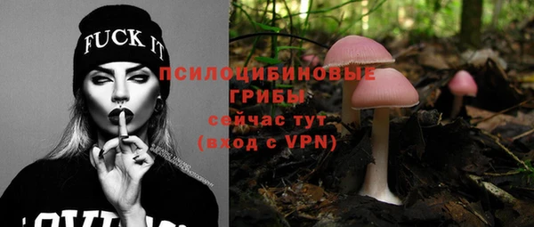 дживик Белокуриха
