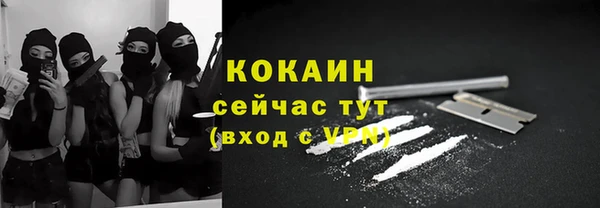 дживик Белокуриха