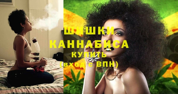 дживик Белокуриха