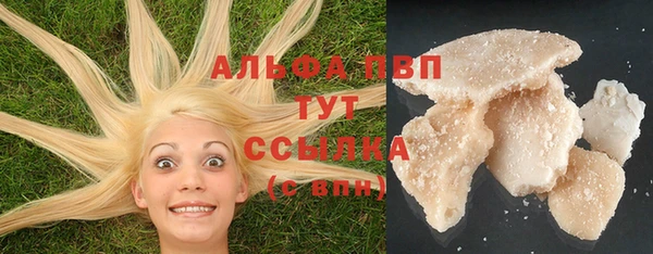 дживик Белокуриха