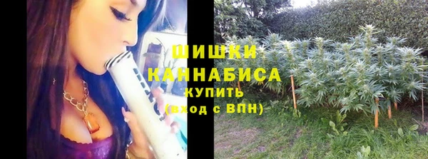дживик Белокуриха