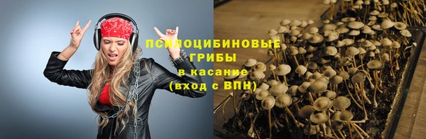 ПСИЛОЦИБИНОВЫЕ ГРИБЫ Беломорск