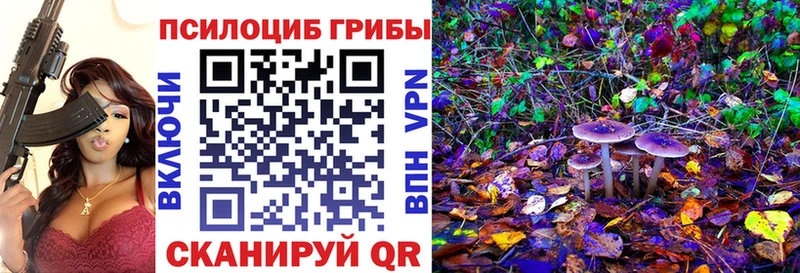 Галлюциногенные грибы MAGIC MUSHROOMS Нижнеудинск